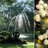 Click for full image Image #1 for Hunter Region Botanic Gardens