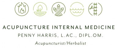 Acupuncture Internal Medicine logo