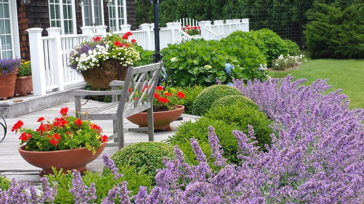 Southampton Nursery, Ltd. photo 1