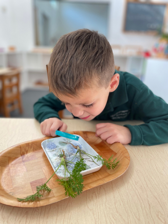 Southampton Montessori School photo 1