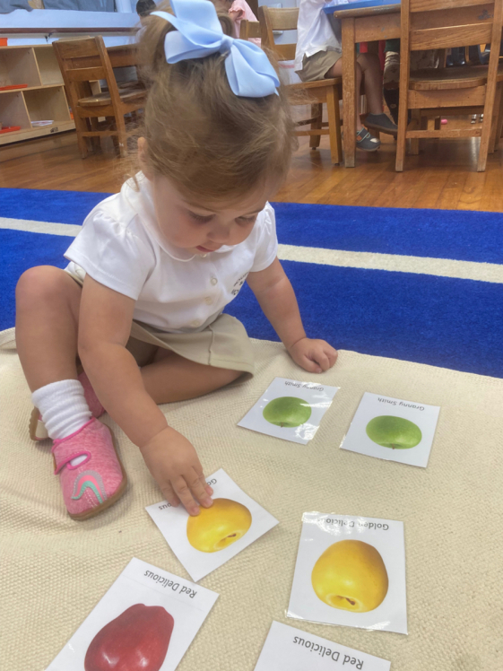 Southampton Montessori School photo 6