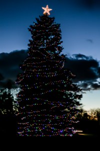 Southampton Christmas Lights logo