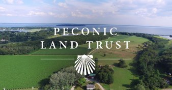 Peconic Land Trust logo