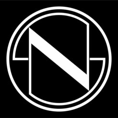 Nest Seekers International logo