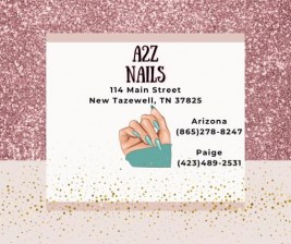 A 2 Z Nails (About)