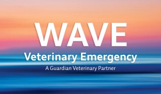 Wave Veterinary Emergency logo