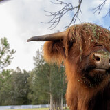 Click for full image Image #4 for The Stables Bobs Farm, Port Stephens
