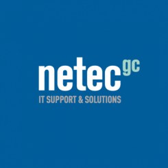 Netec Global Consulting