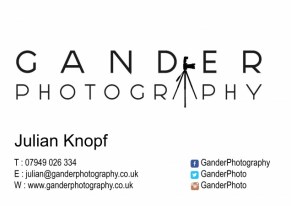 Gander Photography