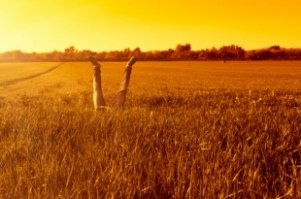 The Gait and Posture Centre