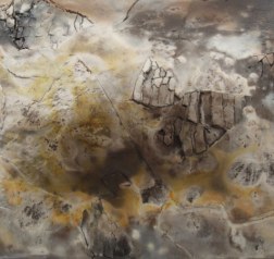 Nicole Portlock