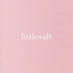 Littlesalt Studios