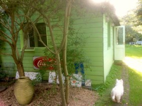 The Green Shed