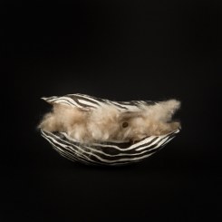 Bryony Dunne