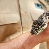 Image #12 for Oakvale Wildlife Park