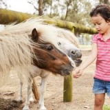 Image #2 for Oakvale Wildlife Park