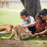 Image #7 for Oakvale Wildlife Park