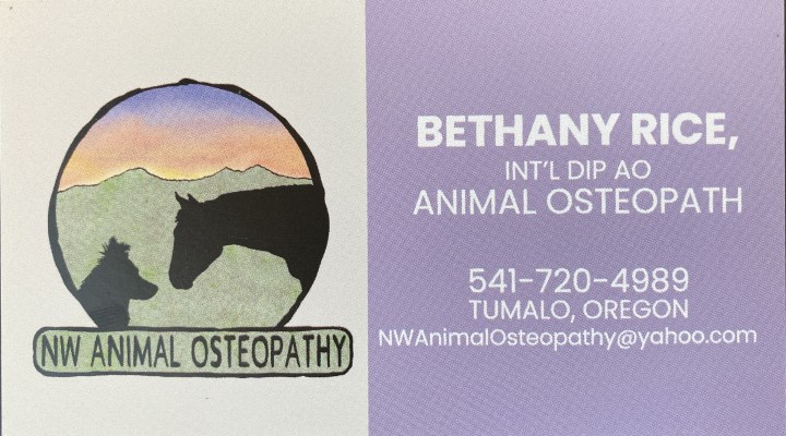 Bethany Rice (About) – IAAMB/ACWT – The International Association of ...